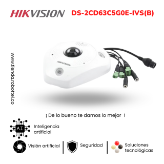 DS-2CD63C5G0E-IVSpardBpari-1_Camaras